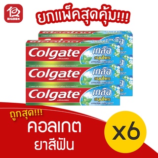 [1 แพ็ค] Colgate คอลเกต ยาสีฟัน เกลือ สมุนไพร [100กรัม x 6 หลอด]