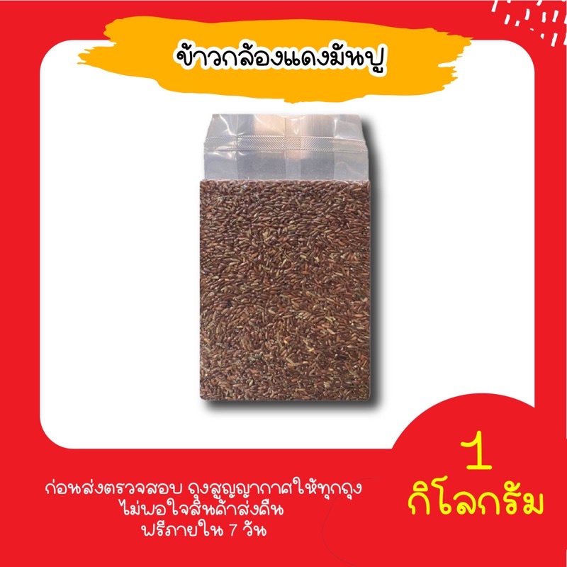 ภาพหน้าปกสินค้า*ค่าส่ง *ข้าวกล้องแดงมันปู 1กก.(1ถุง)ข้าวใหม่ปลอดสาร จากร้าน siamniyomrice บน Shopee