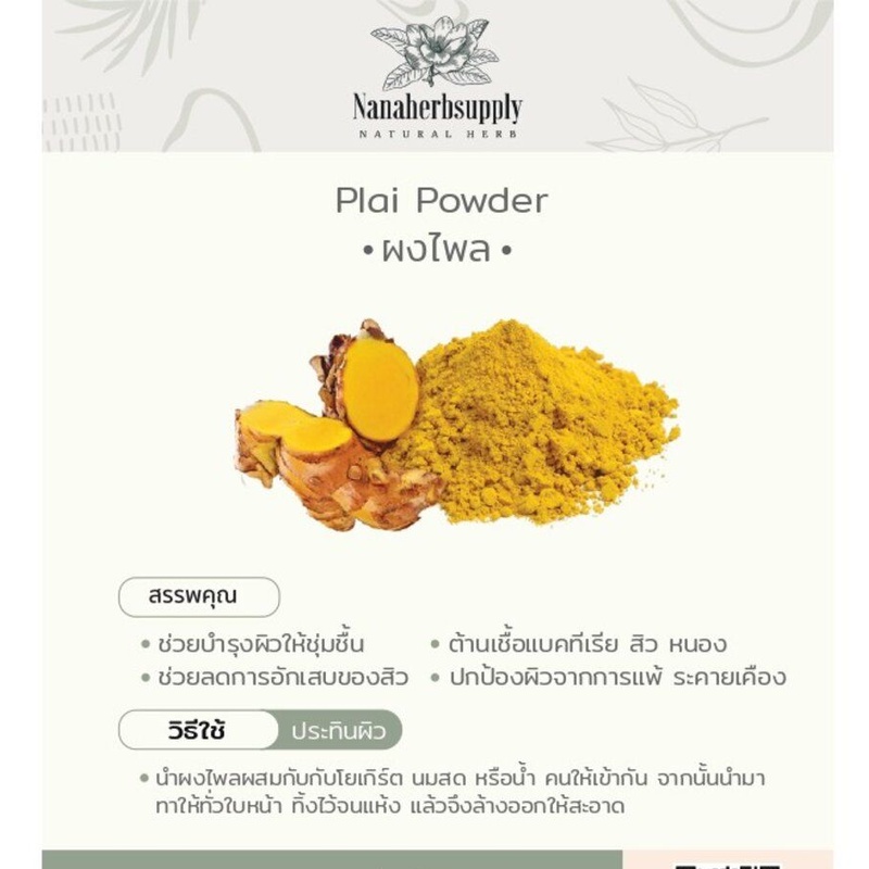 ผงไพล (Plai Powder ) ขนาด 1 กิโลกรัม บดล้วน 100 % | Shopee Thailand