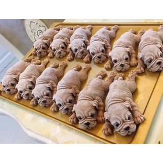 Printed silicone dog treats บล็อคทำขนมสุนัข 5D