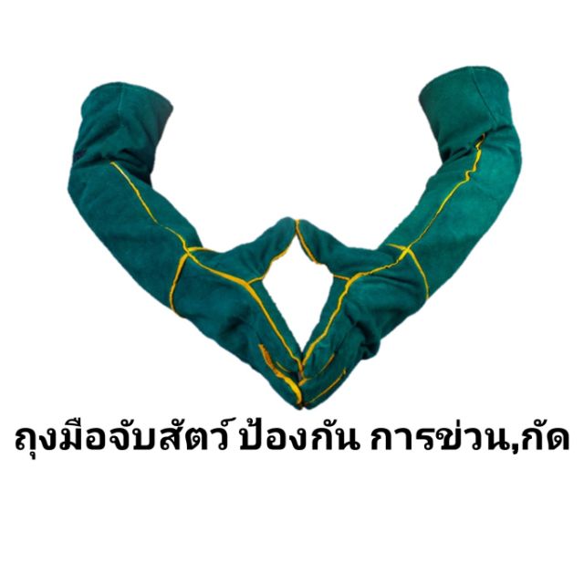 รูปภาพของถุงมือจับสัตว์ ถุงมือกันกัด ถุงมือกันเล็บลองเช็คราคา