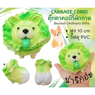 โมเดลคอร์กี้กะหล่ำปลี​ พร้อมส่งในไทย​ (Cabbage​ Corgi​ Model)​