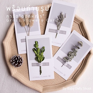 <พร้อมส่ง> การ์ดดอกหญ้า Grass Flower Card 5สี 14.5*8ซม. พร็อบ ดอกไม้ ถ่ายรูปสินค้า ของตกแต่ง ใบไม้ การ์ดตกแต่ง