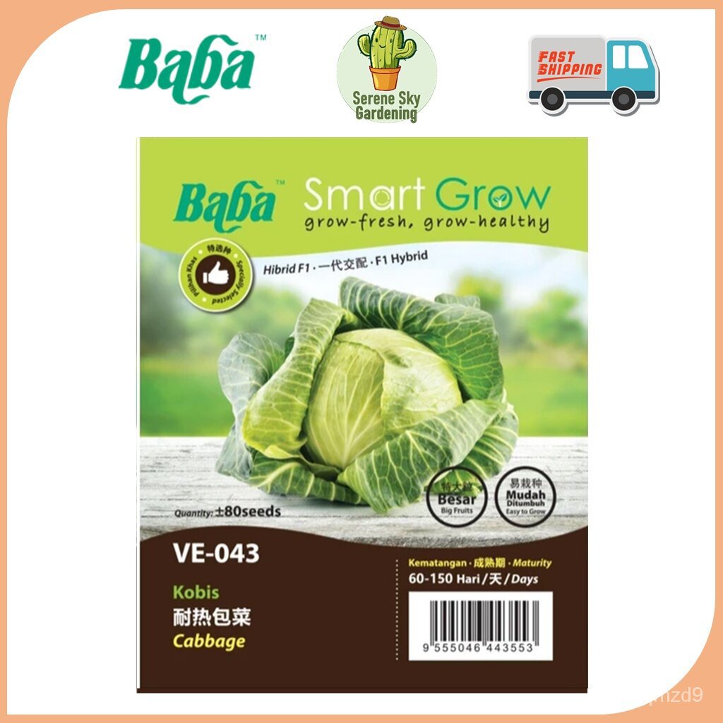 บาบาสมาร์ทเติบโตเมล็ดเมล็ด-kobis-เมล็ด-non-gmo-seedsed-เมล็ด-db40