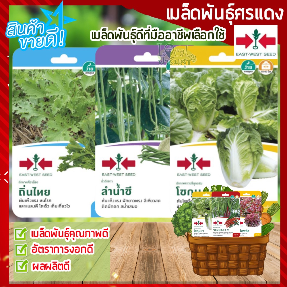 เมล็ดพันธุ์ผัก-ศรแดง-เมล็ดผักสวนครัว-เมล็ดพันธุ์คุณภาพ-งอกดี-ผลผลิตดี-ผักกาดเขียวน้อย-ผักชี-ผักกาดขาว-พริก-มะเขือเทศ