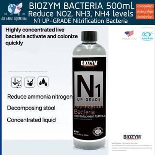 Biozym N1 Up-Grade Nitrification Bacteria แบคทีเรียน้ำ แบคทีเรีย ขนาด 500ml. ช่วยย่อยสลายของเสีย แบคทีเรียน้ำ แบคน้ำ
