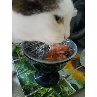 แพ็ค 5 ซอง อาหารแมวสำเร็จรูปแบบเปียก  รสปลาทูน่าผสมกุ้งในเจลลี่  กลิ่นหอม รสชาติอร่อย แมวชอบ สำหรับแมวโต 1 ปีขึ้นไป