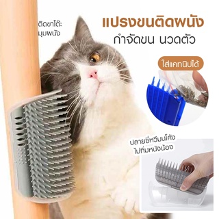 [พร้อมส่ง] 😸แปรงนวดขน แปรงหวีขน แบบติดผนัง สำหรับแมว