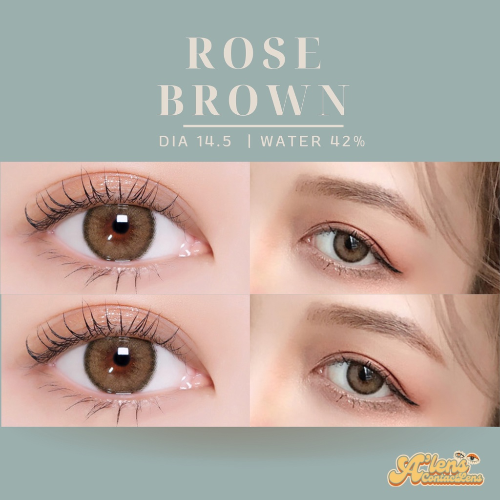 new-roze-brown-คอนแทคเลนส์รายเดือน