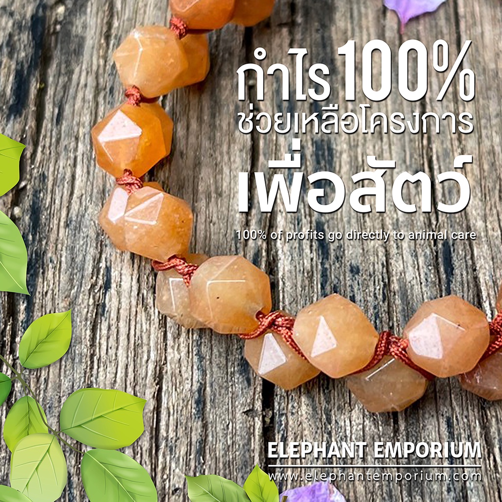 กำไลหินมงคล-เชือกถัก-กำไร-100-เพื่อช่วยเหลือสัตว์