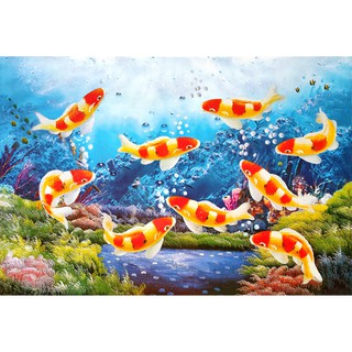 โปสเตอร์ รูปวาด ปลาคาร์ฟ ปลามงคล ภาพมงคล เสริมฮวงจุ้ย Fancy Carp 鯉 POSTER 20”x30” นิ้ว Fish Koi Kohaku V7