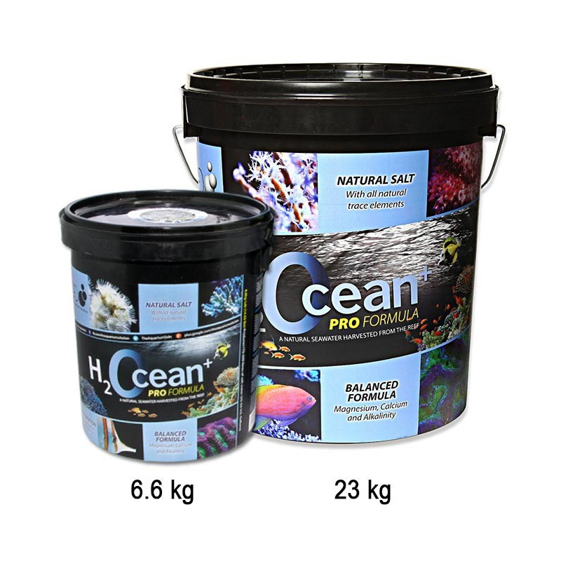 h2ocean-aquarium-marinesalt-เกลือสำหรับตู้ทะเล-23kg-ล็อตใหม่ล่าสุด-เกลือทำน้ำทะเล-เกลือคุณภาพสูงจากยุโรป-ทำน้ำได้700l