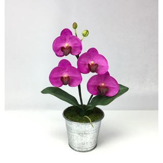 OrientalFineArt กระถางดอกไม้แต่งบ้าน ดอกกล้วยไม้พร้อมกระถาง Artificial Phalaenopsis plant for home decoration