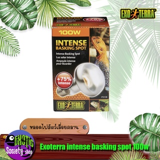 หลอดไฟ Exoterra intense basking spot 100w