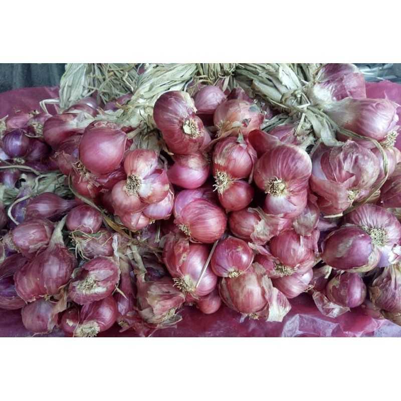หอมแดงแบบจุก-500-กรัม-rad-onion-หอมไทย