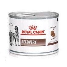 royal-canin-recovery-อาหารสัตว์ป่วยพักฟื้น