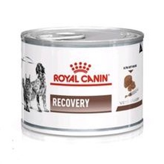 Royal Canin RECOVERY อาหารสัตว์ป่วยพักฟื้น