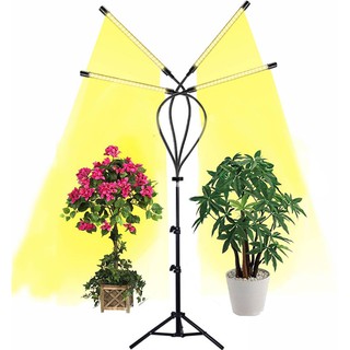 ส่งฟรี - ไฟปลูกต้นไม้ในบ้าน LED 40w Indoor Grow Light Full Spectrum พร้อมขาตั้งและรีโมทควบคุมระยะไกล