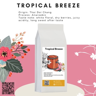 เมล็ดกาแฟ Tropical Breeze