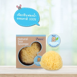 Pureen Natural Sea Sponge ฟองน้ำธรรมชาติ (ไซด์ M/L/XL)