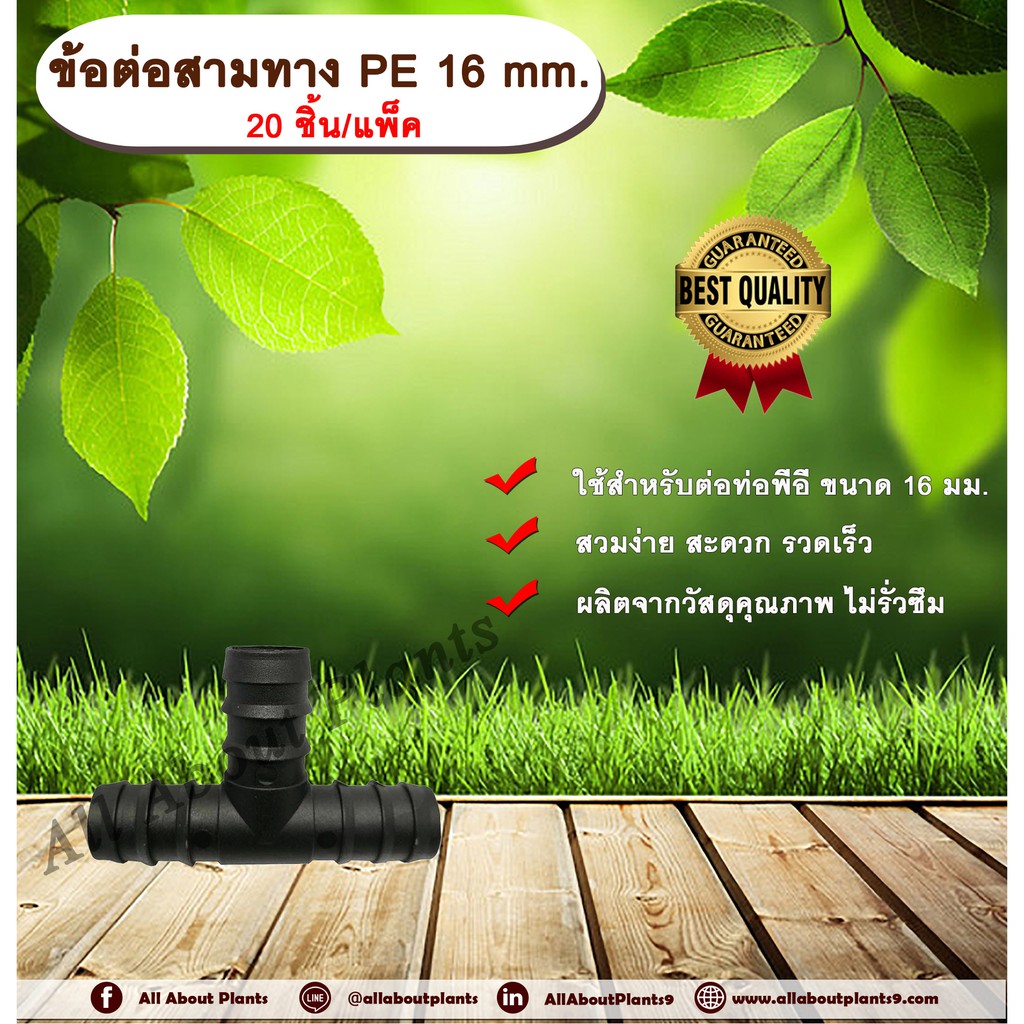 ข้อต่อสามทาง-pe-16-mm-20ชิ้น-แพ็ค-ข้อต่อท่อพีอี-ข้อต่อสามทางพีอี-ข้อต่อสามทาง-สามทาง-ขนาด-16-มิล-ข้อต่อpe-ข้อต่อสามท