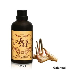 Aroma&amp;More GALANGAL Essential Oil 100% / น้ำมันหอมระเหยข่า Indonesia 100ML