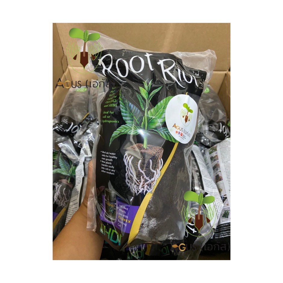Root Riot แบบ ถุง original package ขนาด 50 ชิ้น (50 cubes) ปักชำ เพาะ ...