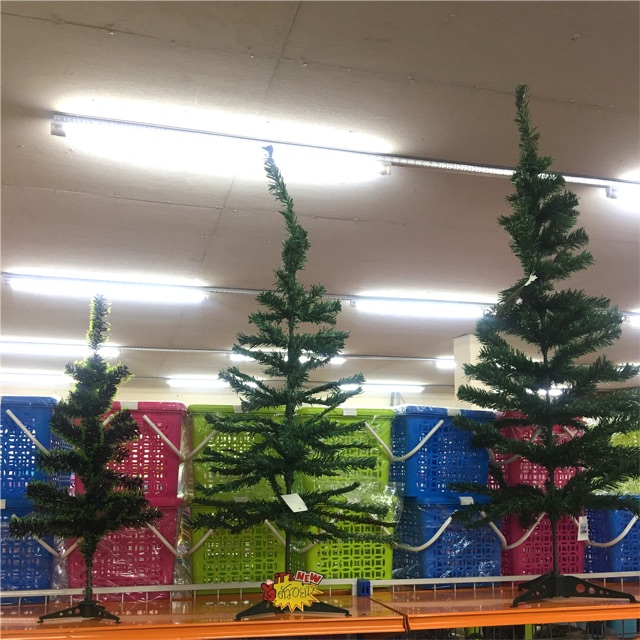 ต้นคริสต์มาส-ขนาด150-300-cm