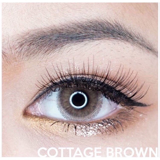 cottage-brown-2-สีน้ำตาล-น้ำตาล-โทนฝรั่ง-โทนเซ็กซี่-kitty-kawaii-ค่าอมน้ำสูง-contact-lens-bigeyes-สายตาสั้น-ค่าสายตา