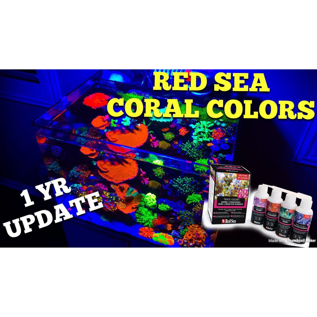 red-sea-coral-coloration-set-4ขวดใหญ่-500ml-x4-แร่ธาตุและวิตามินเร่งสีปะการังที่ทั่วโลกยอมรับ-redsea-เร่งสี-เร่งโต-ปลา