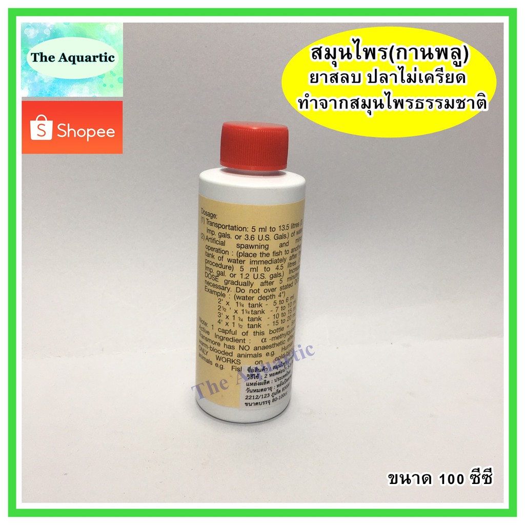 ตัวน้ำยาสลบสำหรับปลามังกร-ไม่มีสารเคมี-make-from-natural