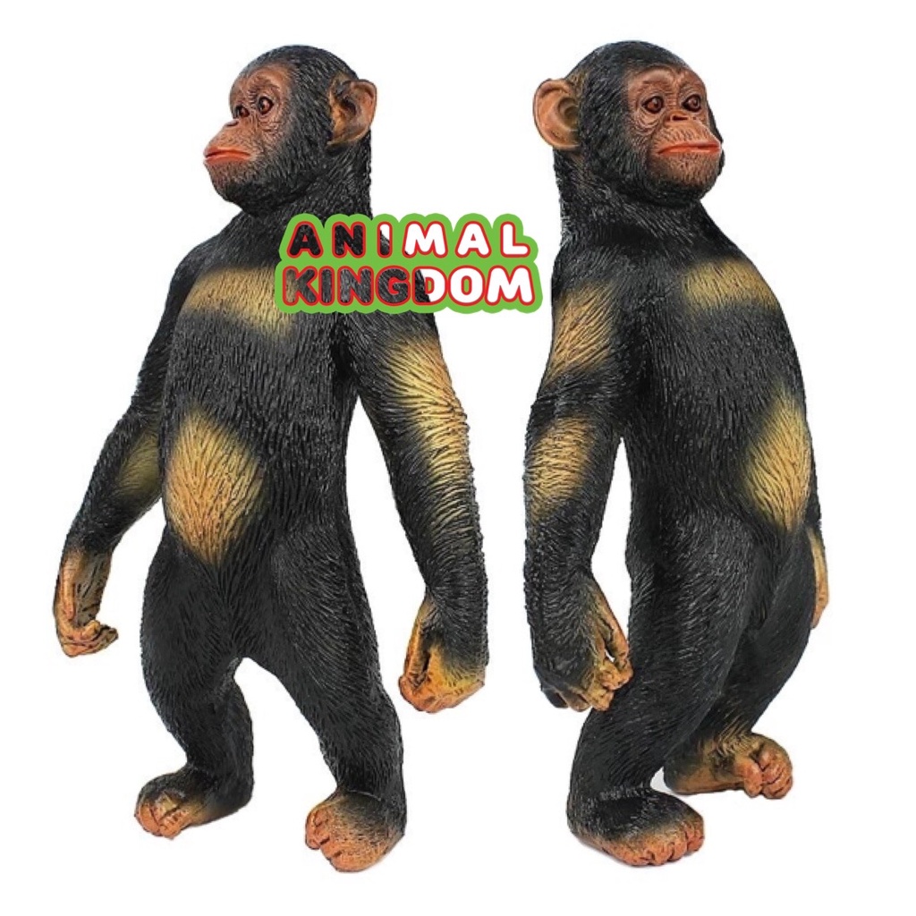 animal-kingdom-โมเดลสัตว์-ลิง-ชิมแปนซี-ขนาด-15-50-cm-จากหาดใหญ่