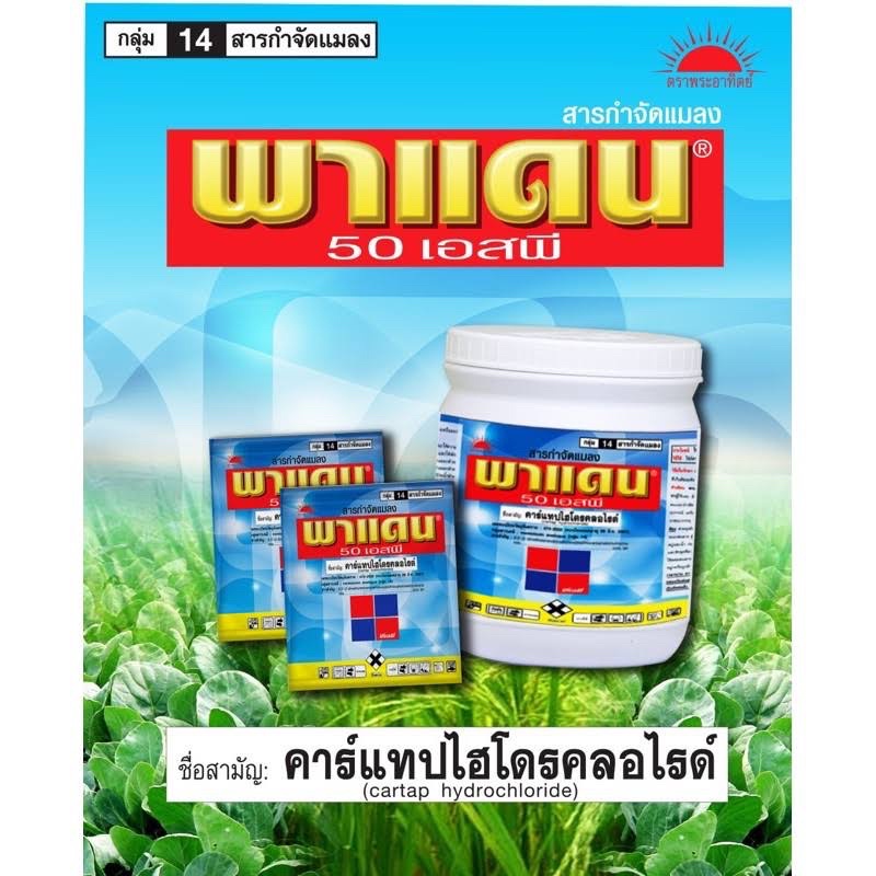 พาแดน-50-เอสพี-คาร์แทป-ไฮโดรคลอไรด์-ขนาด-100-กรัมใช้กำจัดหนอนชอนใบได้ดีเยี่ยม