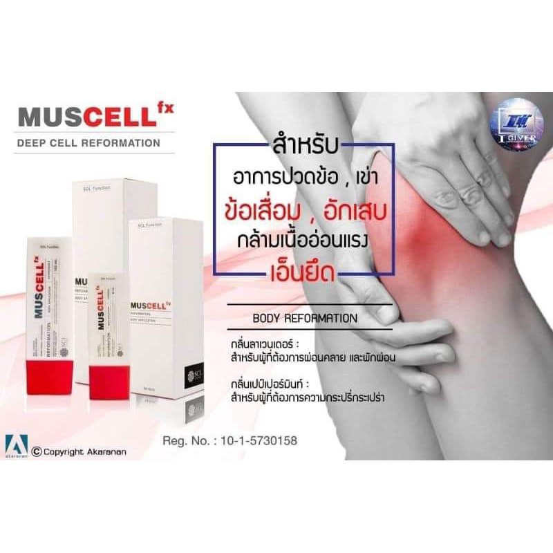 SOL Muscell Fx ครีมบรรเทาปวด | Shopee Thailand