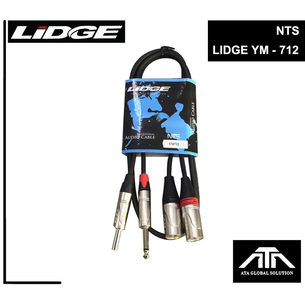 LIDGE YM-712 สาย P.CANNON - P.MIC ข้างละ2 หัว NTS สายสัญญาณ | Shopee ...