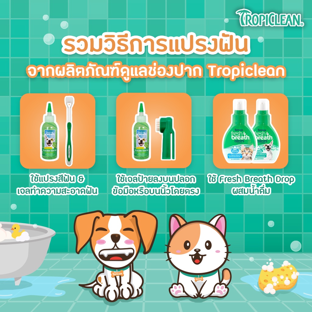 fresh-breath-เจลทำความสะอาดฟัน-สุนัขและแมว-ไม่ต้องใช้แปรง-ใช้ง่าย-น้องหมาแปรงยากใช้ได้