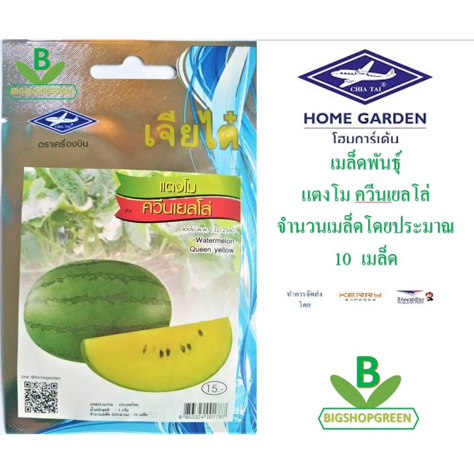 5-ฟรี-1-คละได้-เมล็ดพันธุ์-แตงโม-ควีนเยลโล่-ตรา-เจียไต๋-เมล็ดผัก-เมล็ดพันธุ์พืช-เมล็ดพืช-เมล็ดพันธุ์ผัก