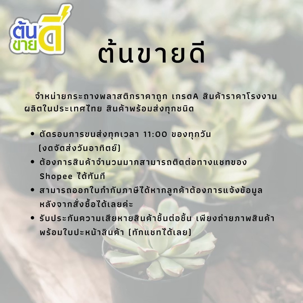 ภาพหน้าปกสินค้ากระถางแคคตัส กระถางกระบองเพชร กระถางต้นไม้ กระถาง 2.5 นิ้ว 5 ใบ จากร้าน nineton1 บน Shopee