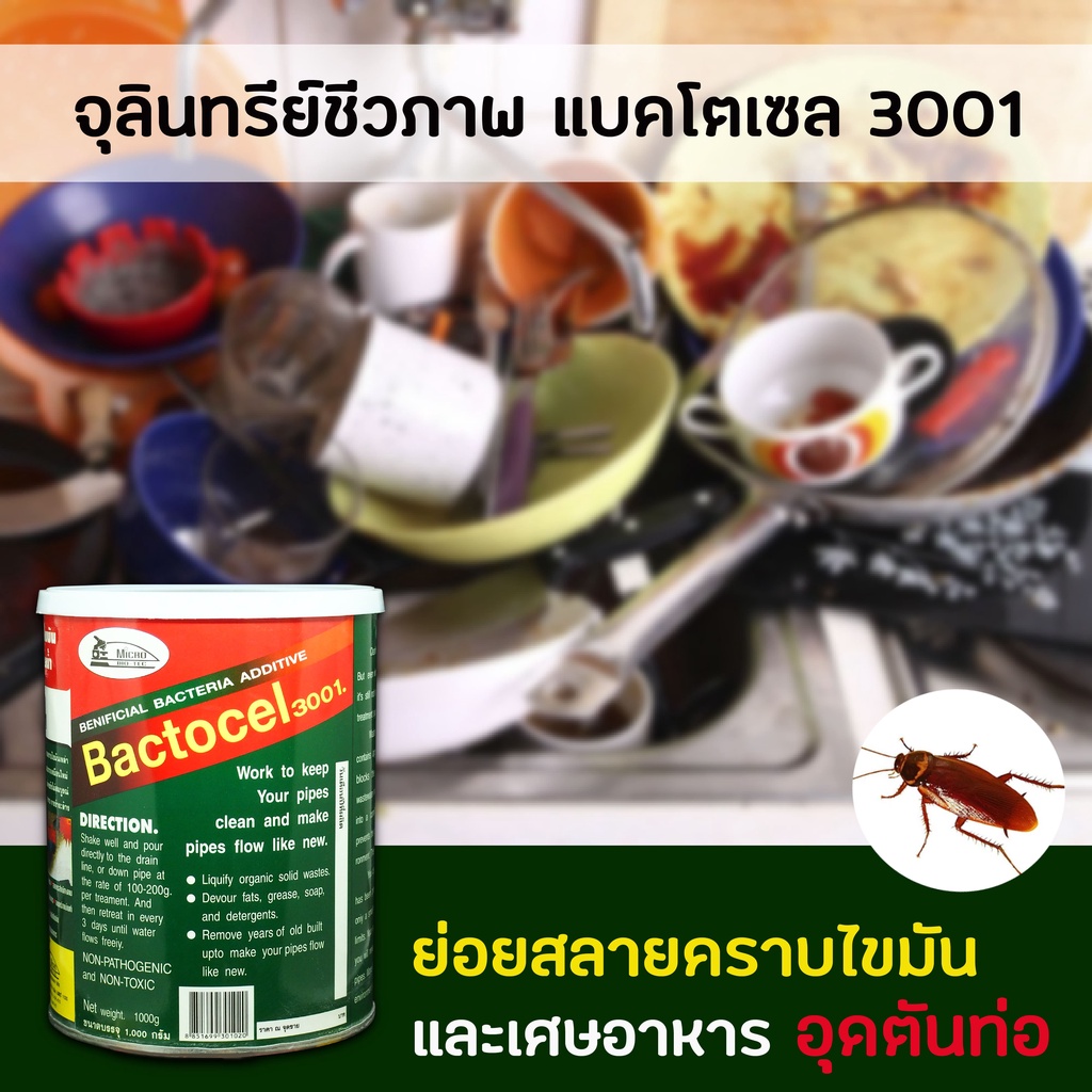 3-กระป๋อง-แบโตเซล-bactocel-3001-1000g-น้ำยาล้างไขมัน-น้ำยาดับกลิ่น-ย่อยสลายไขมัน-กำจัดไขมัน-ดับกลิ่นเหม็นไขมัน