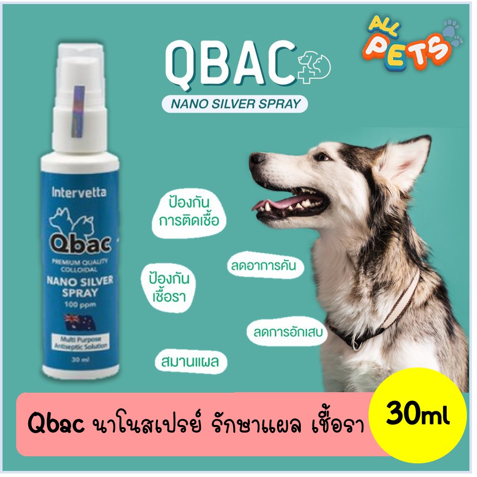 qbac-nano-silver-spray-สเปรย์สมานแผล-ลดอักเสบ-30ml