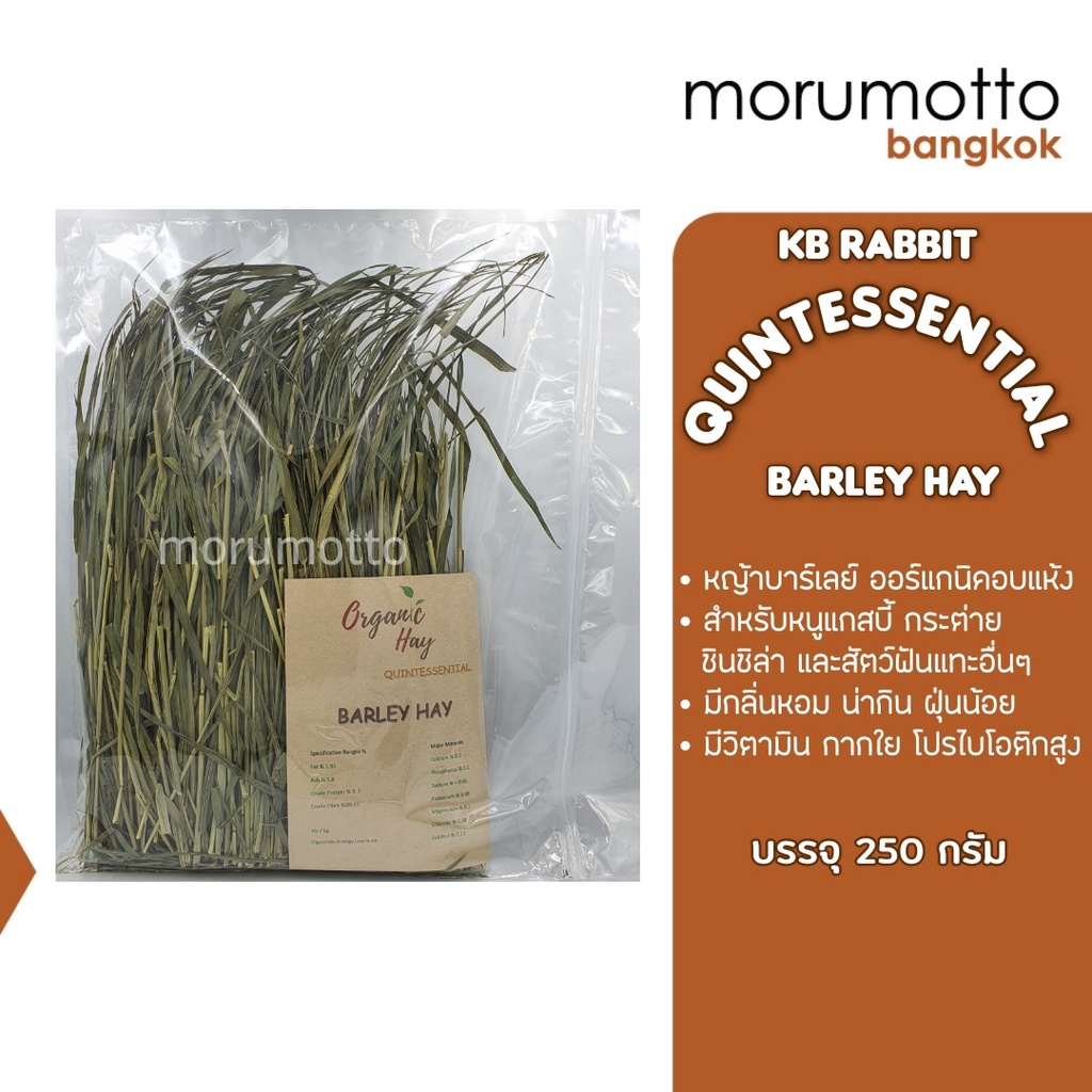 KB Rabbit Quintessentail Barley Hay หญ้าบาร์เลย์ ออร์แกนิคอบแห้ง หญ้า ...