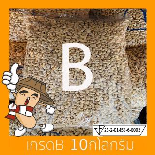 เมล็ดมะม่วงหิมพานต์ Size B 10Kg (เม็ดดิบ)