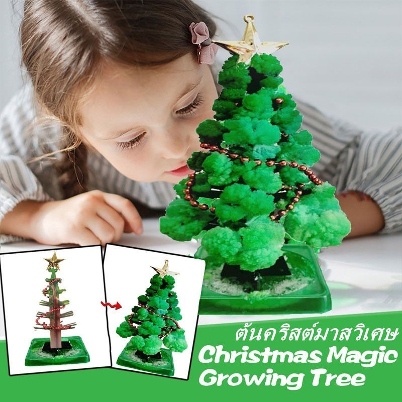 พร้อมส่ง-ต้นคริสต์มาสมหัศจรรย์-magic-growing-crystal-christmas-tree-ของเล่นสําหรับเด็ก