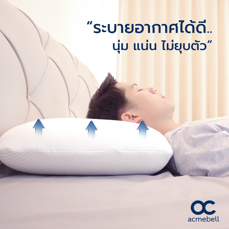 acmebell-recharge-plus-pillow-หมอนหนุนขนาดใหญ่-หมอนหนุนใบใหญ่