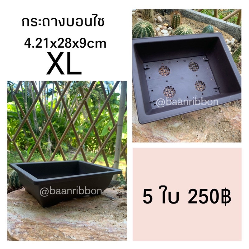 กระถางบอนไซ-เนื้อหนา-ทนทาน-ราคาส่ง