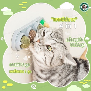 ภาพหน้าปกสินค้า【พร้อมส่ง ถูกที่สุด 】😺 แคทนิปบอล 3 ลูก สมุนไพรแมว​ ลูกบอลแมวเลีย ขนมแมวเลีย ติดผนัง หญ้าแมวบอลสมุนไพร ขายดี ที่เกี่ยวข้อง