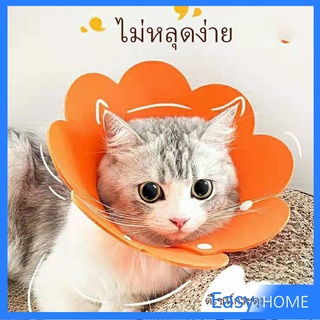 ปลอกคอดอกไม้ ปลอกคอกันเลีย คอลล่าสุนัข  คอลล่าแมว Cat coll