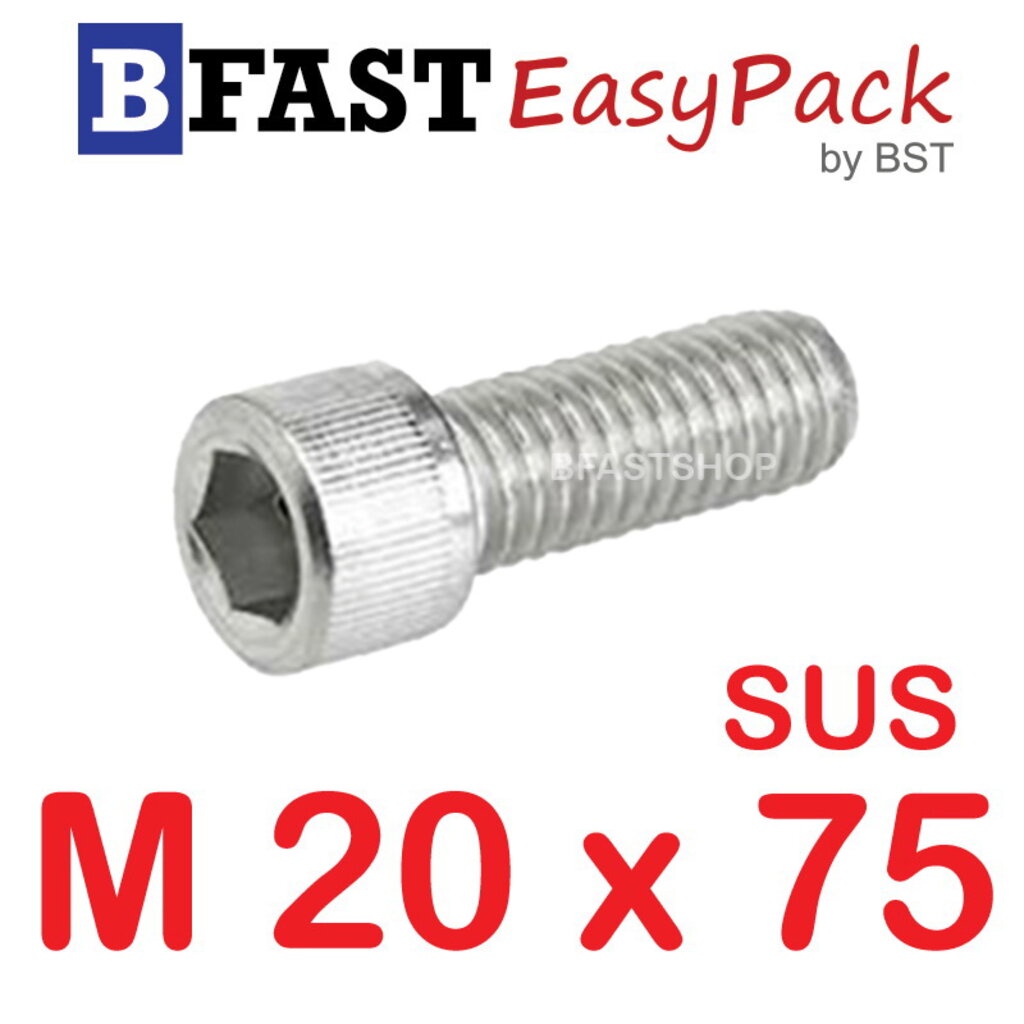 สกรูหัวจมสแตนเลส-sus-m20-x-75-1-ตัว-ถุง