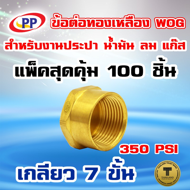 ข้อต่อทองเหลือง-หมวกอุด-pp-พีพี-ตัวเมีย-lt-เกลียวใน-gt-ขนาด-1-2-4หุน-wog-ประปา-น้ำมัน-ลม-แก๊ส-แพ็ค-100-ชิ้น