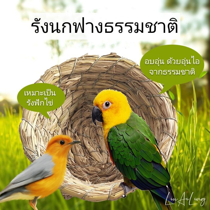 รังฟาง-รังแบน-รังนกปรอด-รังนกกางเขน-รังนอนเม่นแคระ-รังนอนกระรอก-รังนอนสำหรับหนู